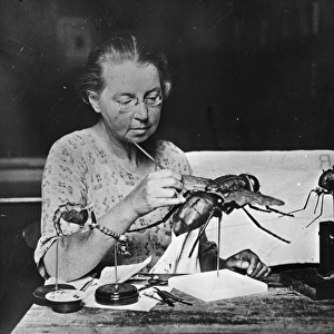 Grace Edwards, October 1926, The Natural History Museum
