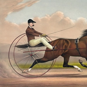 The grand trotter St. Julien, driven by Orrin A. Hickok: by
