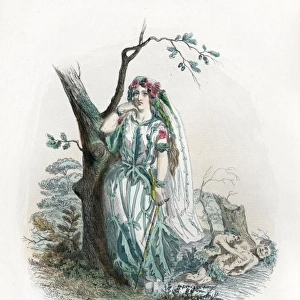 Grandville Verbena 1847