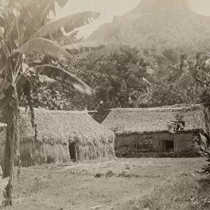 Grass houses, at Waitova, near Levuku, Fiji