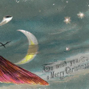 Grasshopper riding a moth on a Christmas card