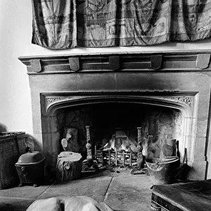 A great dane dog in front of a log fire at Plas Teg