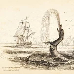 Great sea serpent seen off the coast of Greenland in 1734