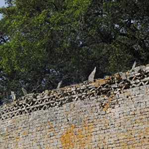 Great Zimbabwe Wall - Great Zimbabwe