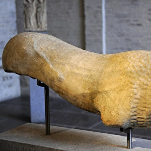 Greek Archaic. Lion. About 520 BC. Glyptothek. Munich