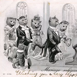 Group of cats at a wedding in a church on a French postcard