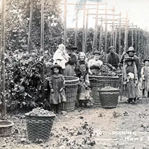 Group of London Hop Pickers in Kent