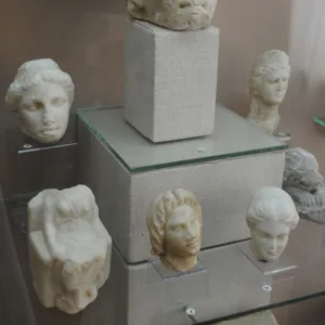 Group of womens heads