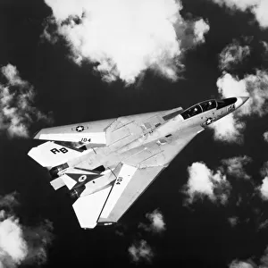 Grumman G-303 F-14 Tomcat