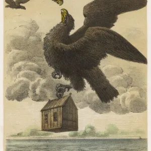 Gulliver / Eagle / House