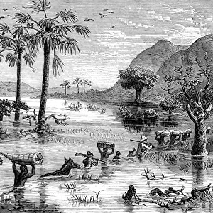 H. M. Stanleys Expedition crossing the Makata Swamp, Central