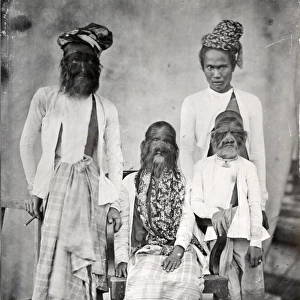 The hairy family of Burma