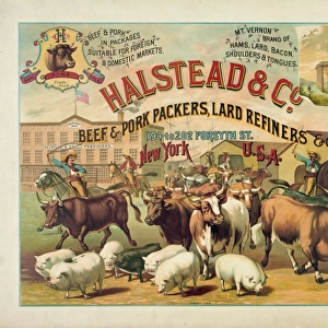 Halstead & Co. beef & pork Packers, Lard Refiners & Co