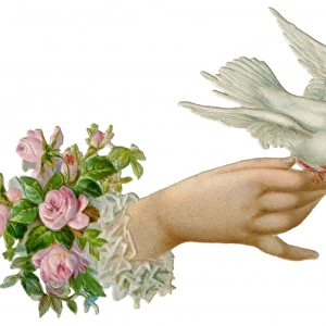 Hand and Dove