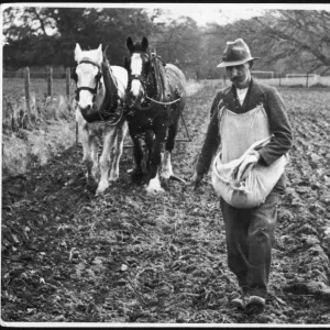 Hand Sowing in Ireland