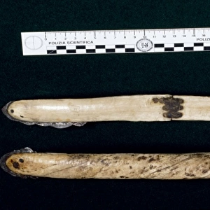 Hand tools made by the Inuit of Greenland