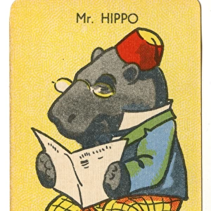 Happy Families Animals - Mr Hippo