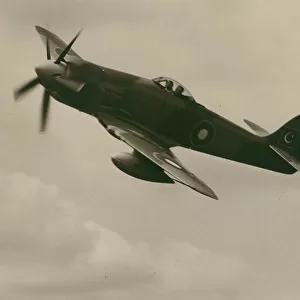 Hawker Fury of the Pakistan Air Force