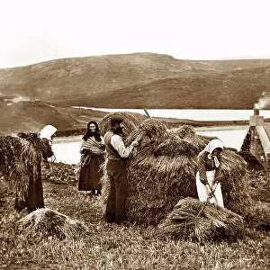The Hay Yard, Lerwick, Shetland, Victorian period