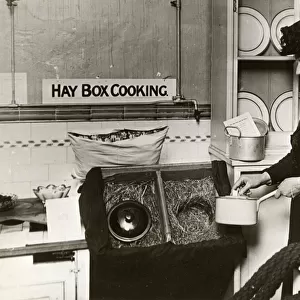 Haybox Cooking, Food Saving Exhibition, Institute of Hygiene