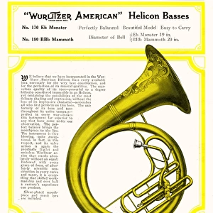 Helicon Bass Horn