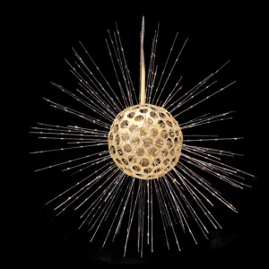 Heliosphaera actinota, radiolarian