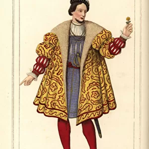 Henri d Albert, King of Navarre