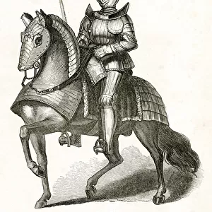 Henry VII of Engalnd
