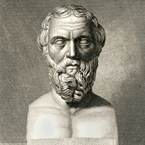 Herodotus / Hinchliff