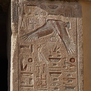 Hieroglyph on the walls of the Temple of Hatshepsut. At the