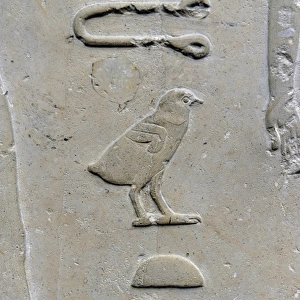 Hieroglyphic writing. Relief detail from the tomb of Princes