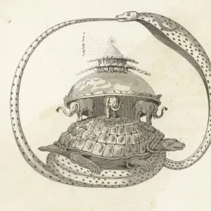 Hindu / The Cosmic Turtle