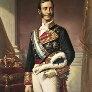 HIRALDEZ DE ACOSTA, Marcos (1830-1896). Alfonso