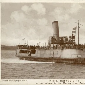 HMS Daffodil IV