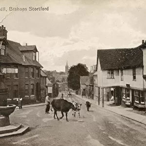 Hockerhill, Bishops Stortford, Hertfordshire