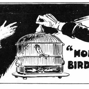 Hold Birdie, a farce, Duke of Yorks Theatre, London Hold Birdie, a farce, Duke of Yorks Theatre, London