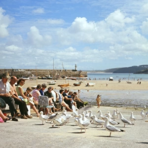 Holidaymakers feeding gulls, St Ives, Cornwall