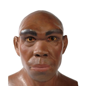 Homo heidelbergensis, Rhodesian or Broken Hill Man
