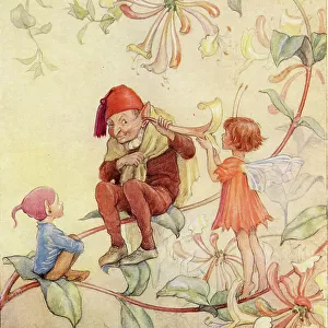 Honeysuckle by Margaret Tarrant, Joan in Flowerland