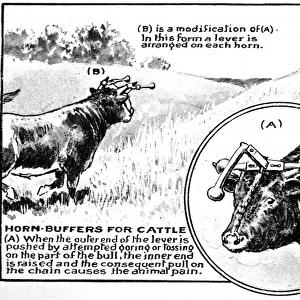 Horn Buffers for Cattle, 1921