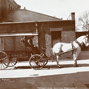 Horse ambulance