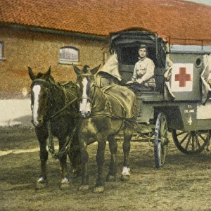Horse Ambulance at Beverloo Training Camp, Belgium