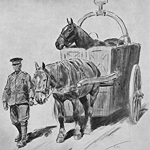 Horse ambulance, First World War