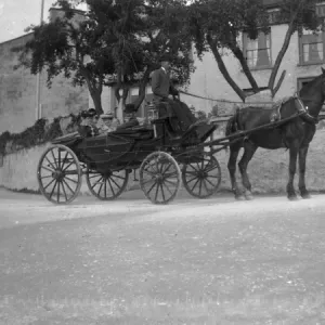 Horse and carriage, St Davids, Pembrokeshire, South Wales