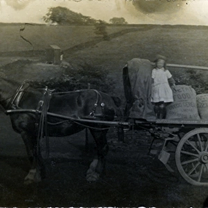 Horse & Cart of Hopwood - Family Grocer, Shelley, Yorkshire