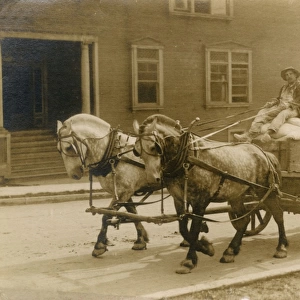 Horse-drawn flour cart, USA