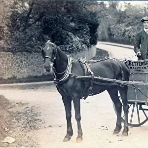Horse-drawn milk cart with driver. Churn on the cart