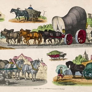 Horse-Drawn Wagons