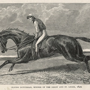HORSE FLYING DUTCHMAN