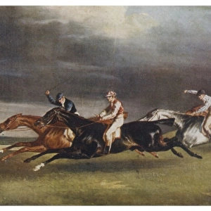 Horse Race / Postcard